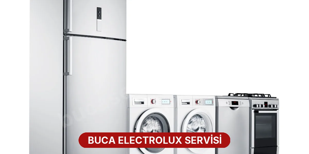 Buca Electrolux Servisi