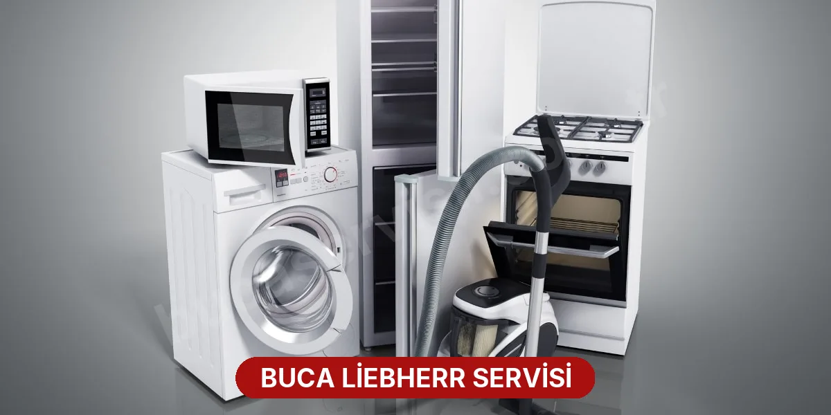 Buca Liebherr Servisi