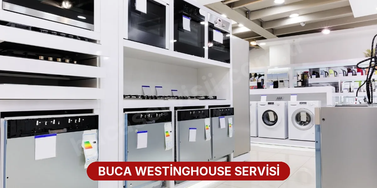 Buca Westinghouse Servisi